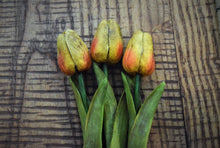 Load image into Gallery viewer, Set of 3 Primitive Grungy Real Feel Tulips 13", Artificial Flowers, Country Primitive Floral Supplies, Farmhouse Decor, Spring Floral