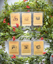 Load image into Gallery viewer, A photo showing various clamshell plastic cases with wax melt tarts inside. The cases have labels that feature a primitive sketch of each flavor or scent.