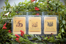 Load image into Gallery viewer, A photo showing various clamshell plastic cases with wax melt tarts inside. The cases have labels that feature a primitive sketch of each flavor or scent.